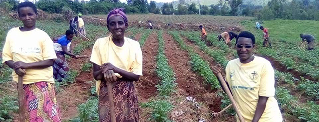 Project Opzetten van een sociaal-agrarische coöperatie in Burundi